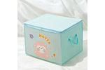 Cartoon Storage Box