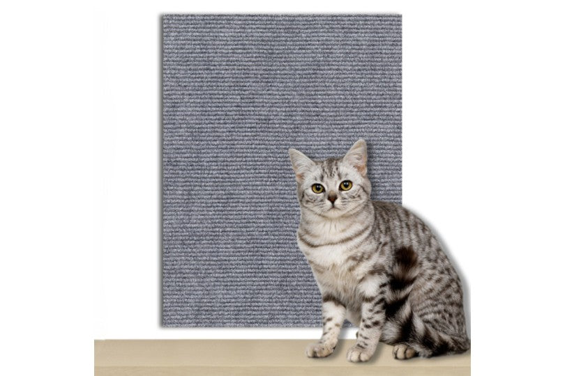 Cat Scratching Board