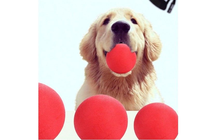 Hard Rubber Ball for Dogs