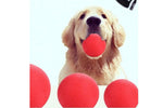 Hard Rubber Ball for Dogs