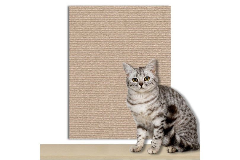 Cat Scratching Board
