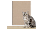 Cat Scratching Board
