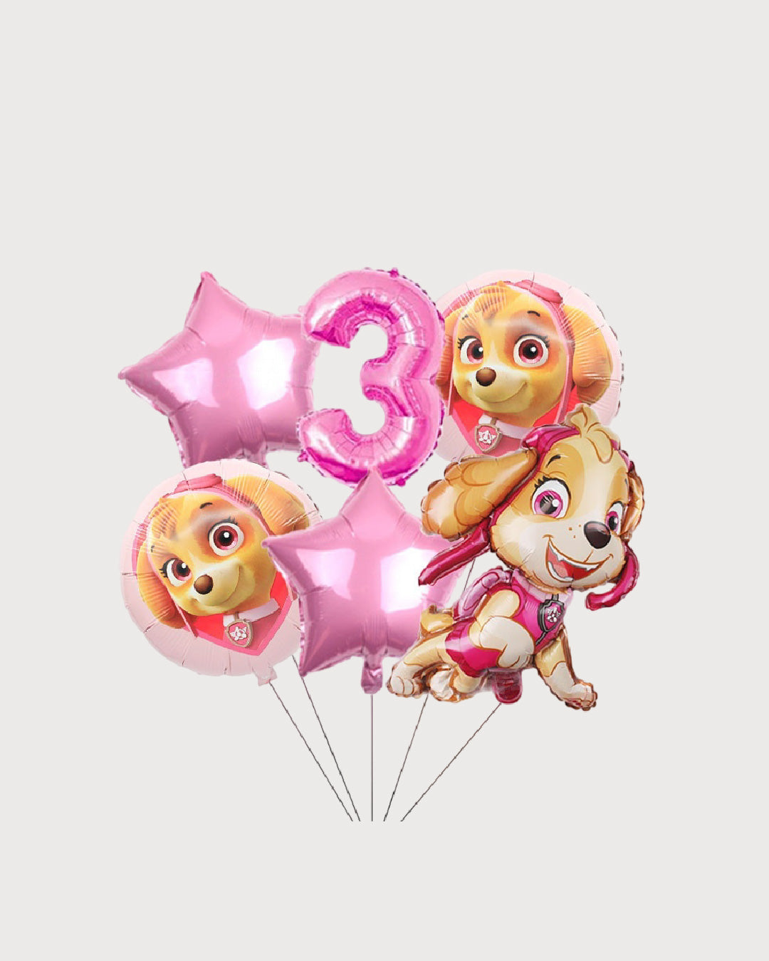 Paw Patrol Skye Number Balloon Set