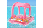 Swimming Pool Float