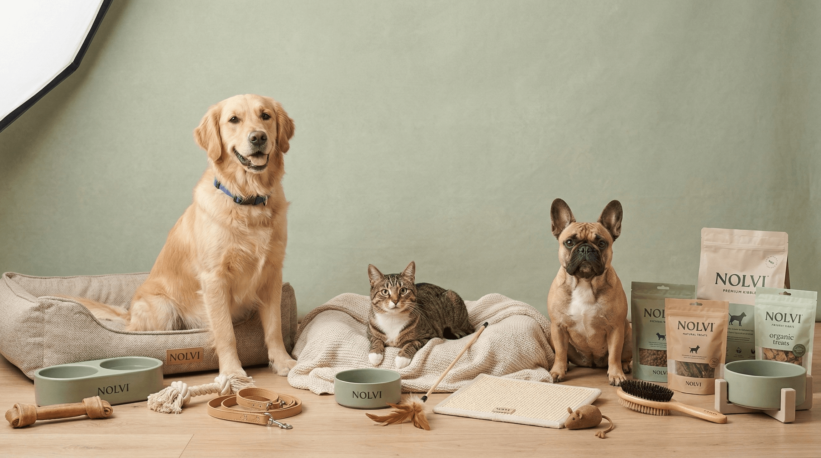 Two dogs and a cat sitting on a wooden floor with pet products around them.